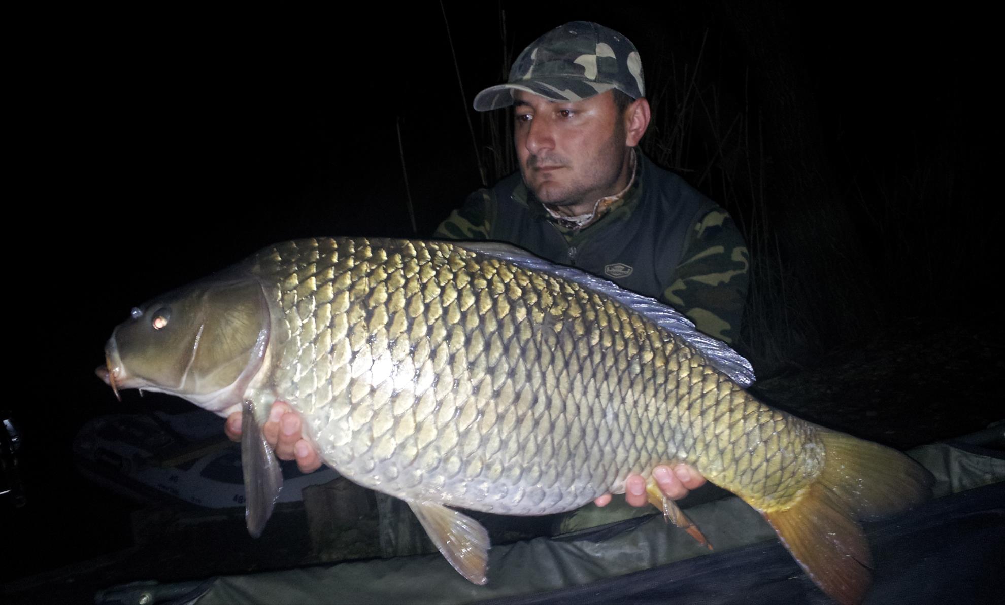 Tancabesti 28 - 29 mar. - 20140328213833.jpg